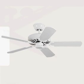 Quạt trần gắn phòng khách QDX84